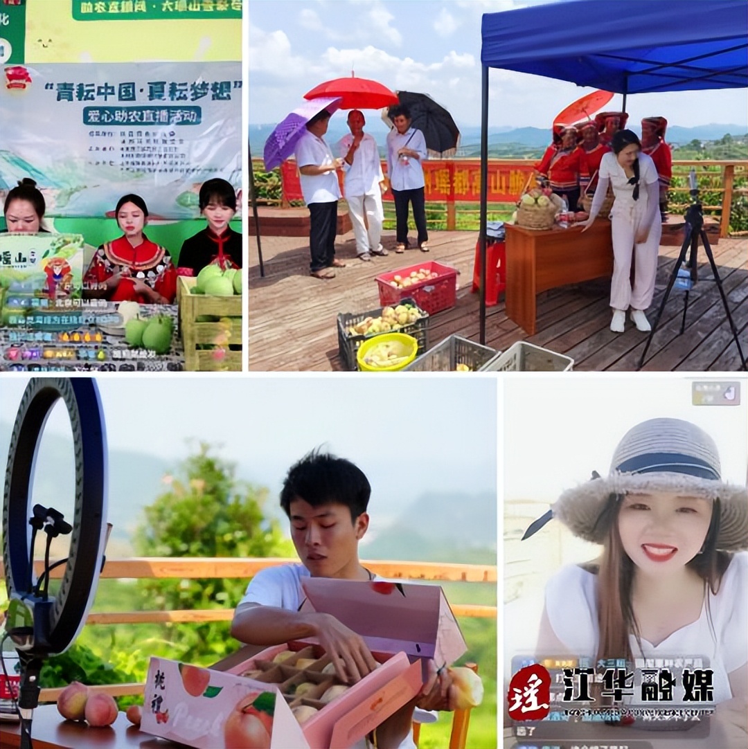 辛巴帮运城农户卖柿子,辛巴农助农视频