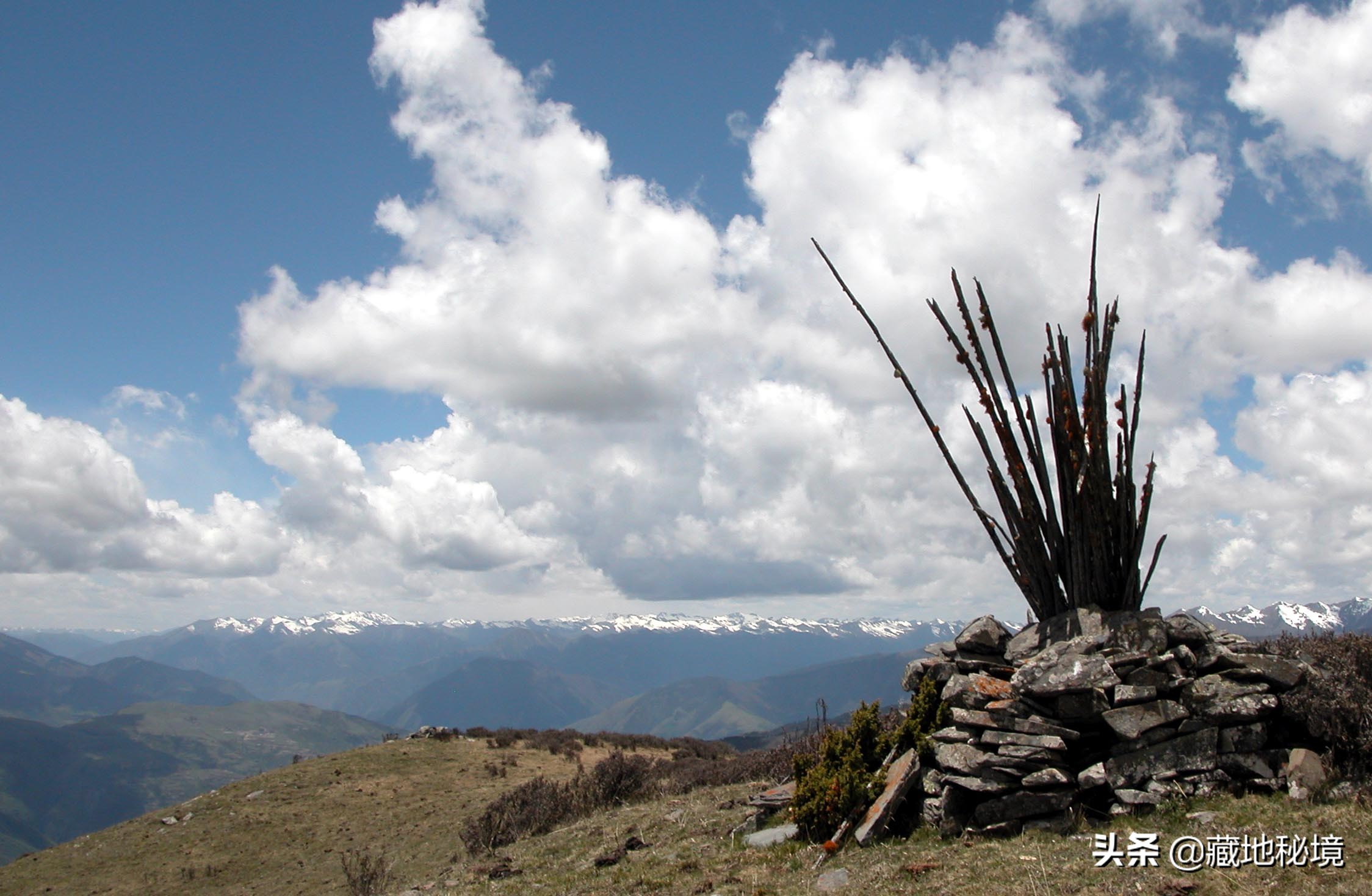 小说失踪假日,小说连载失踪的女人