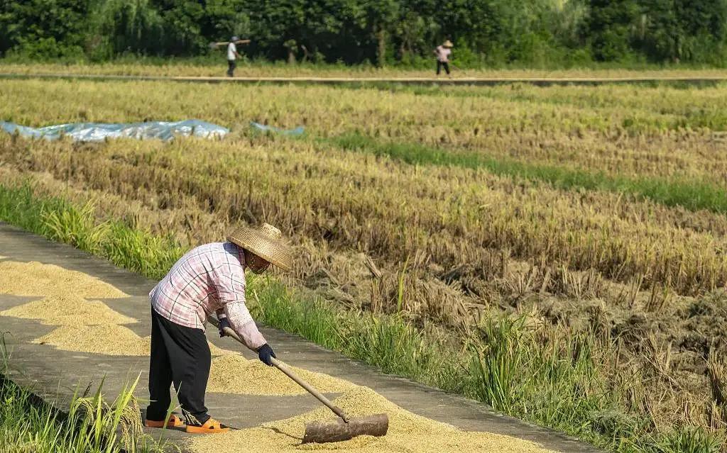 中央对农民房产的政策,风声传递正能量