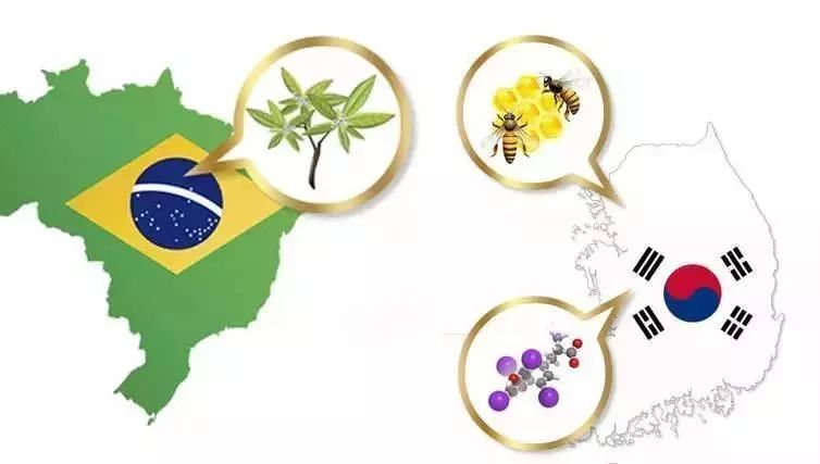 韩国东星小黑瓶祛斑霜，​韩国东星制药60年口碑企业出品！