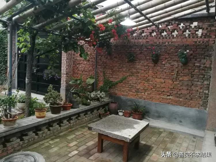 古朴的“农家小院”,总是备受人们喜爱