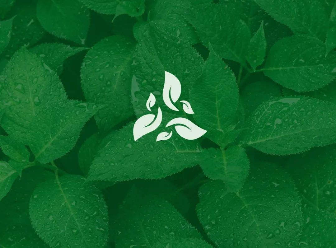 优秀的logo设计详解,优秀logo设计欣赏