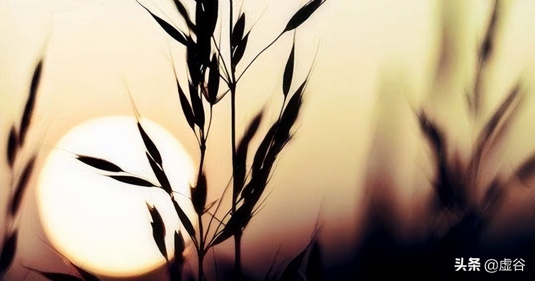 生而为人我无需抱歉,生而为人我很是抱歉