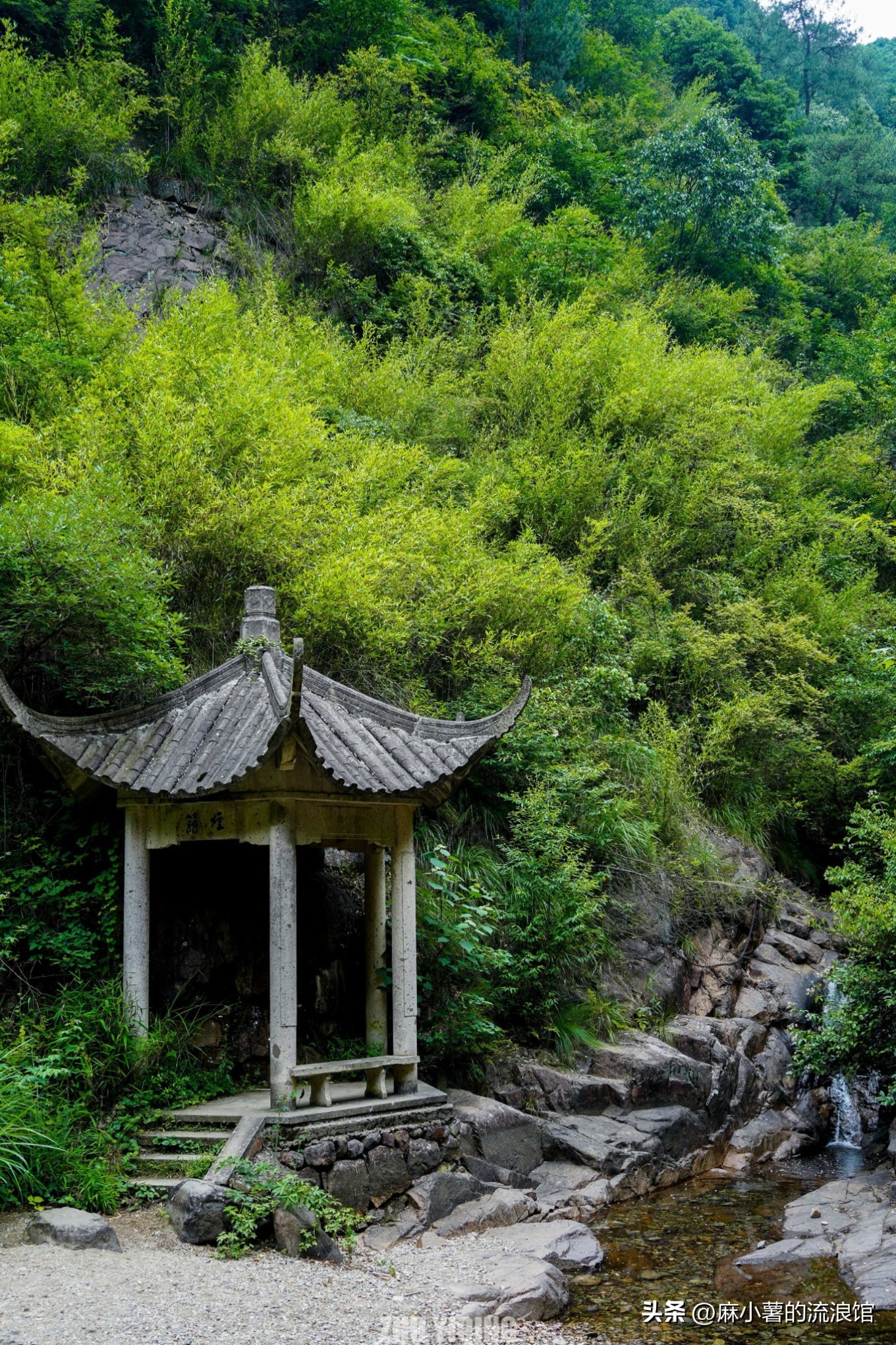 杭州桐庐大奇山二日游,杭州避暑胜地一日游