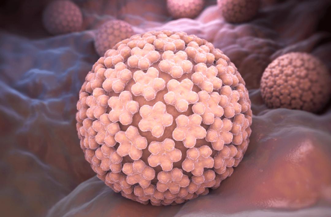 女性hpv感染多久才有可能转宫颈癌,80%女性会在一生中感染过hpv