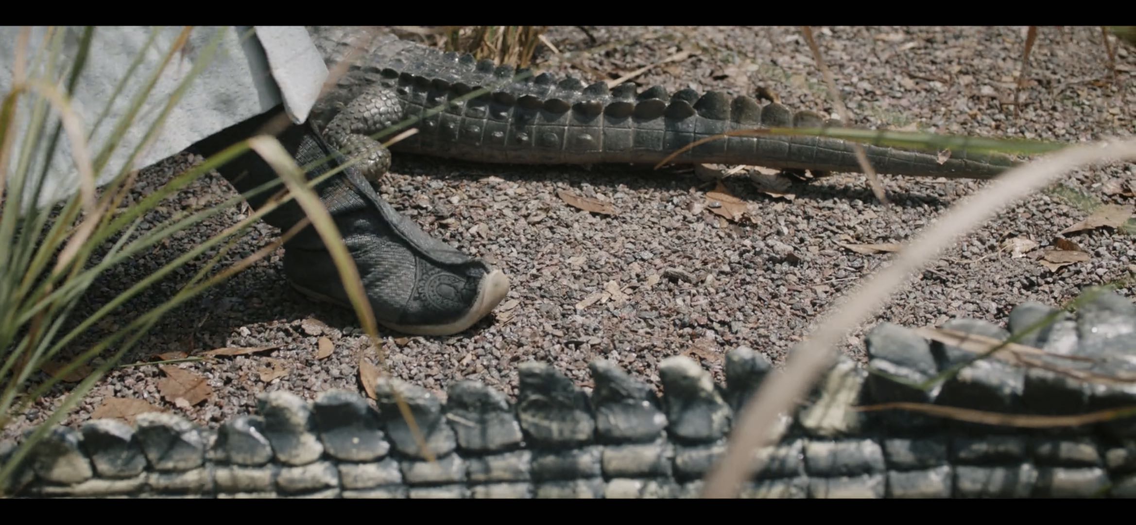 唐朝诡事录什么时候第二季,唐朝诡事录第一季第16集