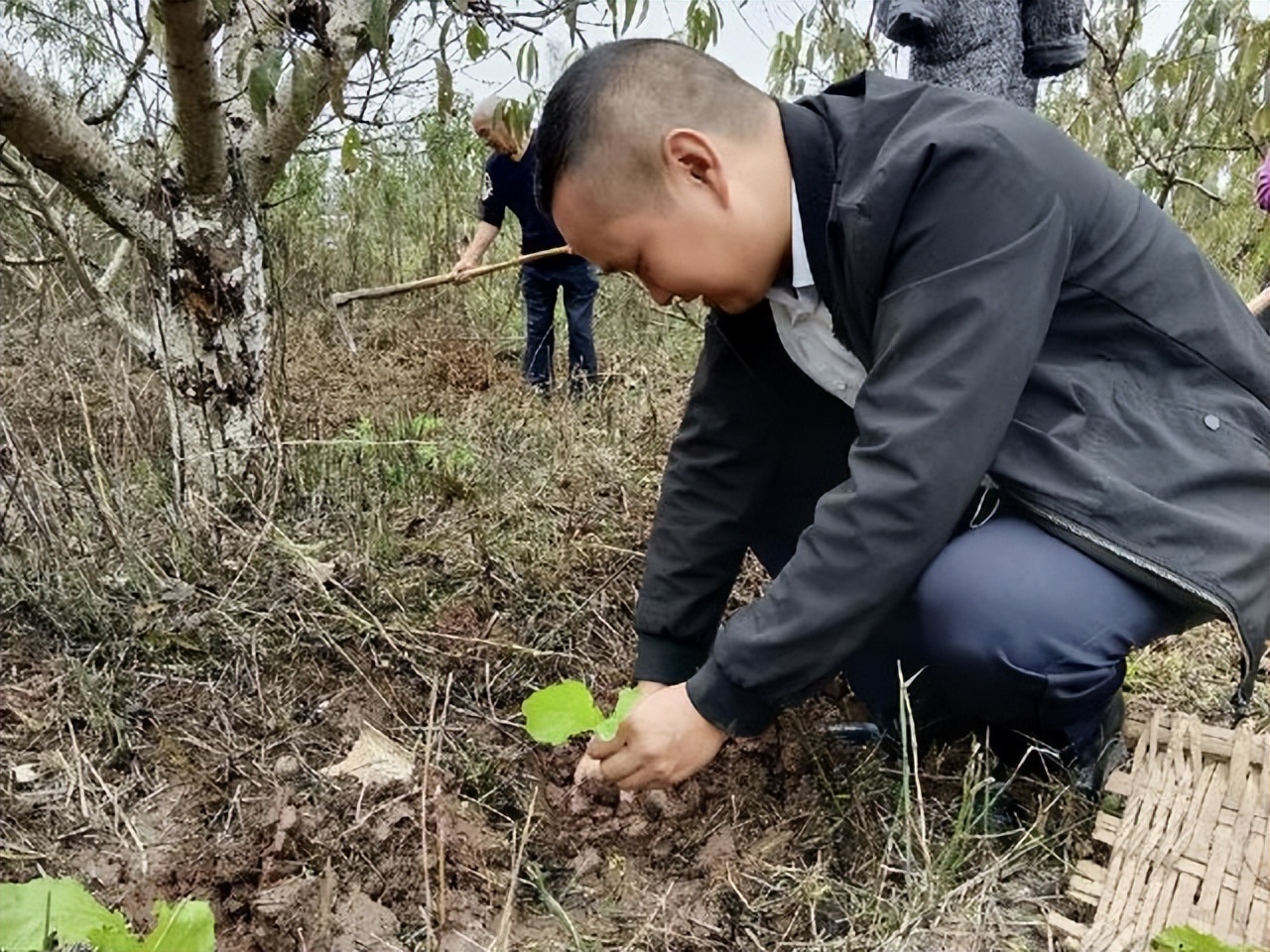 「自贡」以乡贤助力粉色经济打造最美农旅名片