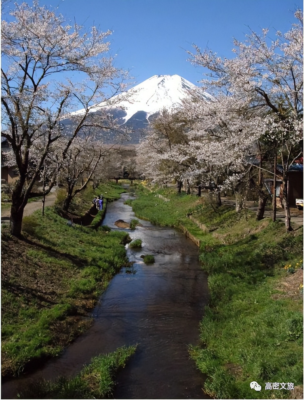 潍坊创建“东亚文化之都”|我们向已获得“东亚文化之都”的城市学什么？（十七）