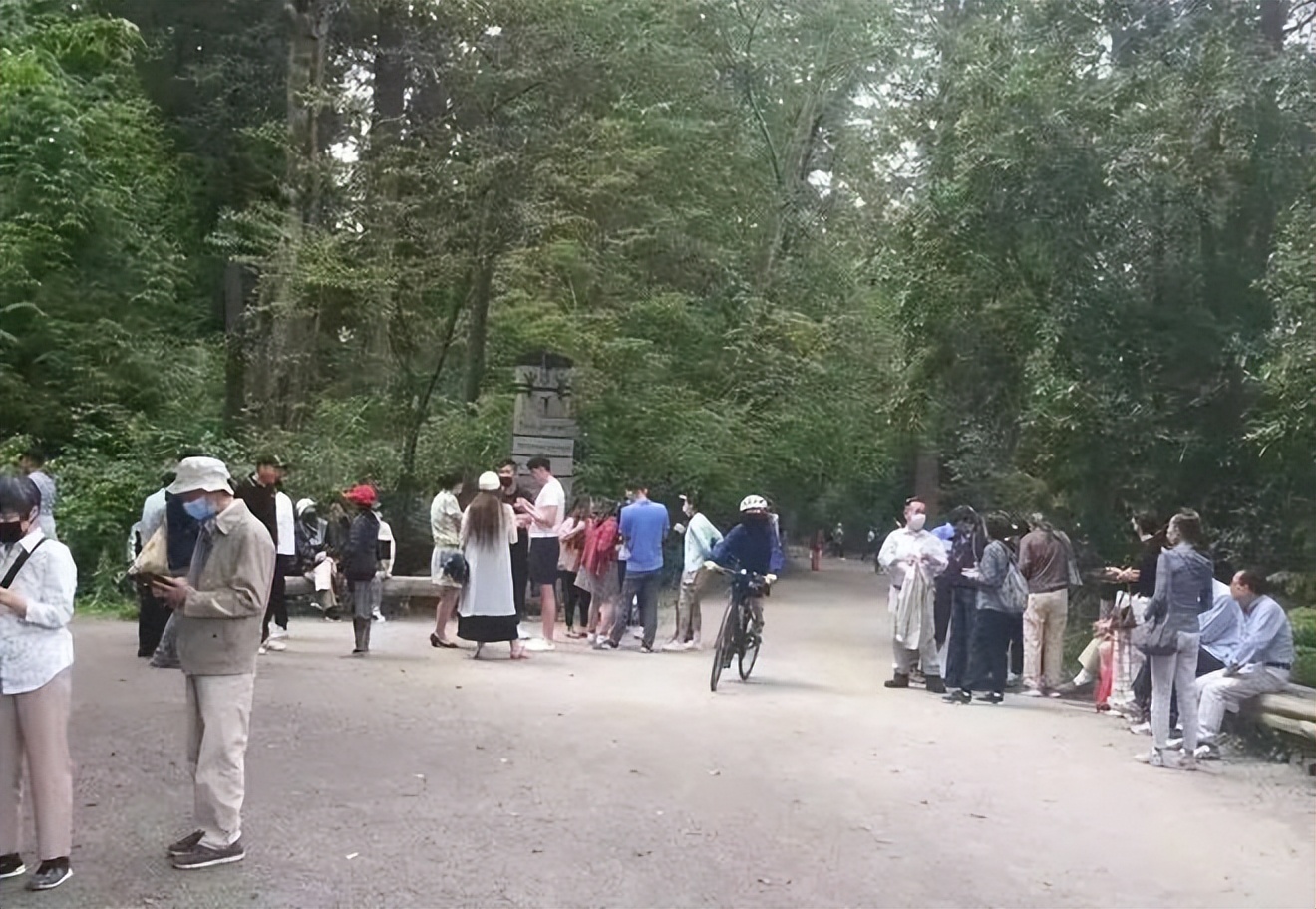 把相亲角搬到海外，不愧是咱爸妈