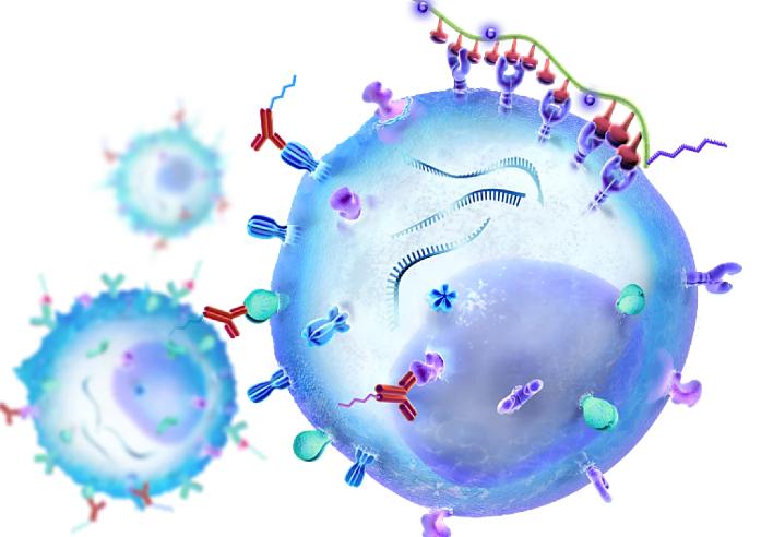 医学科普湿疹做好这几点减少复发,谈谈湿疹的中医药防治与调养