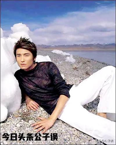 陈冠希和刘嘉玲有没有关系,陈冠希与刘嘉玲有过绯闻吗