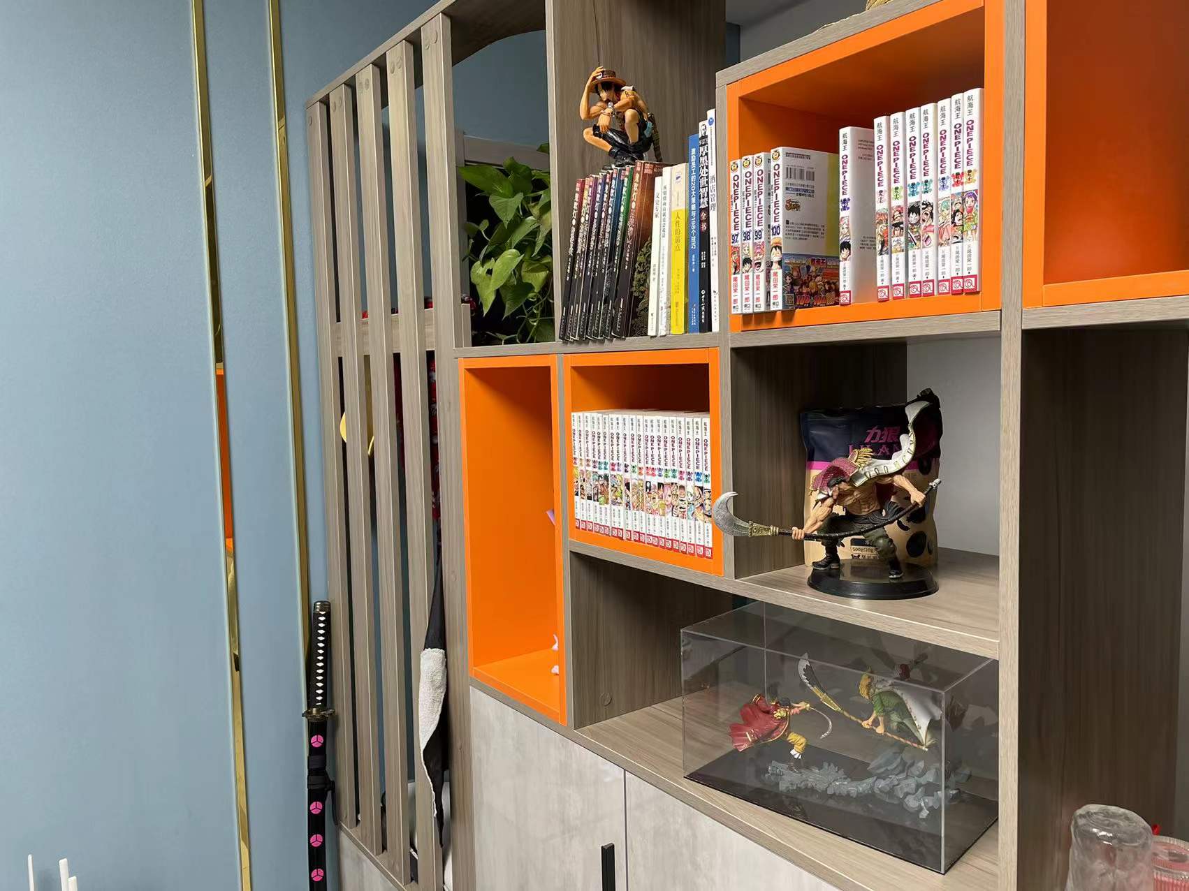 海贼王最新话漫画书哪里可以买到,最值得买的海贼王漫画单行本