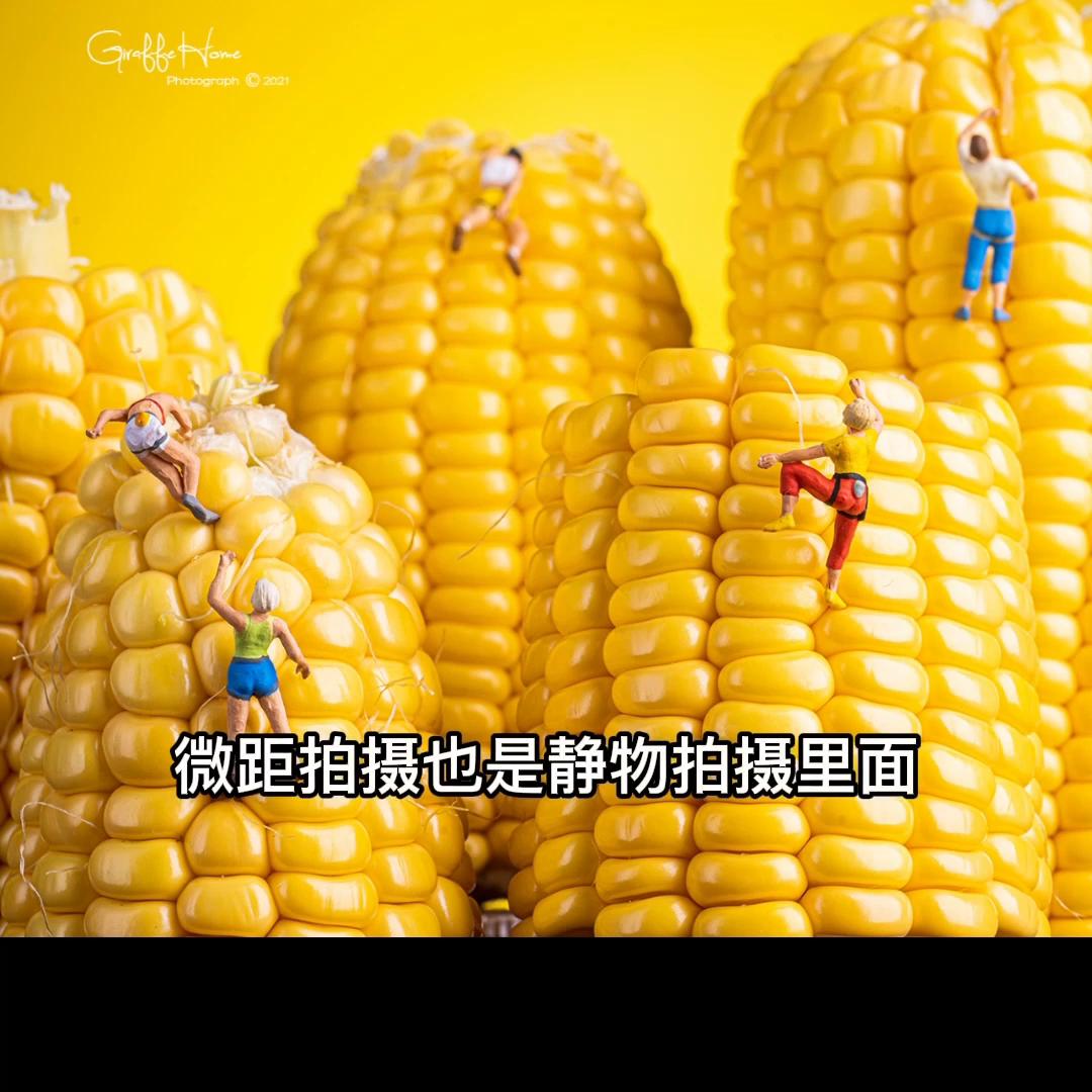 iphone怎么拍摄出单反的效果,让iphone原相机变单反的拍照技巧