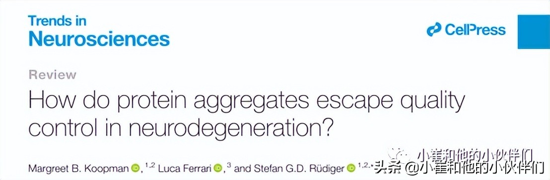 神经退行性疾病研究,神经退行性疾病是什么原因引起的