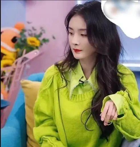 谢娜再谈助理打手机后续,谢娜工作室致歉助理原视频