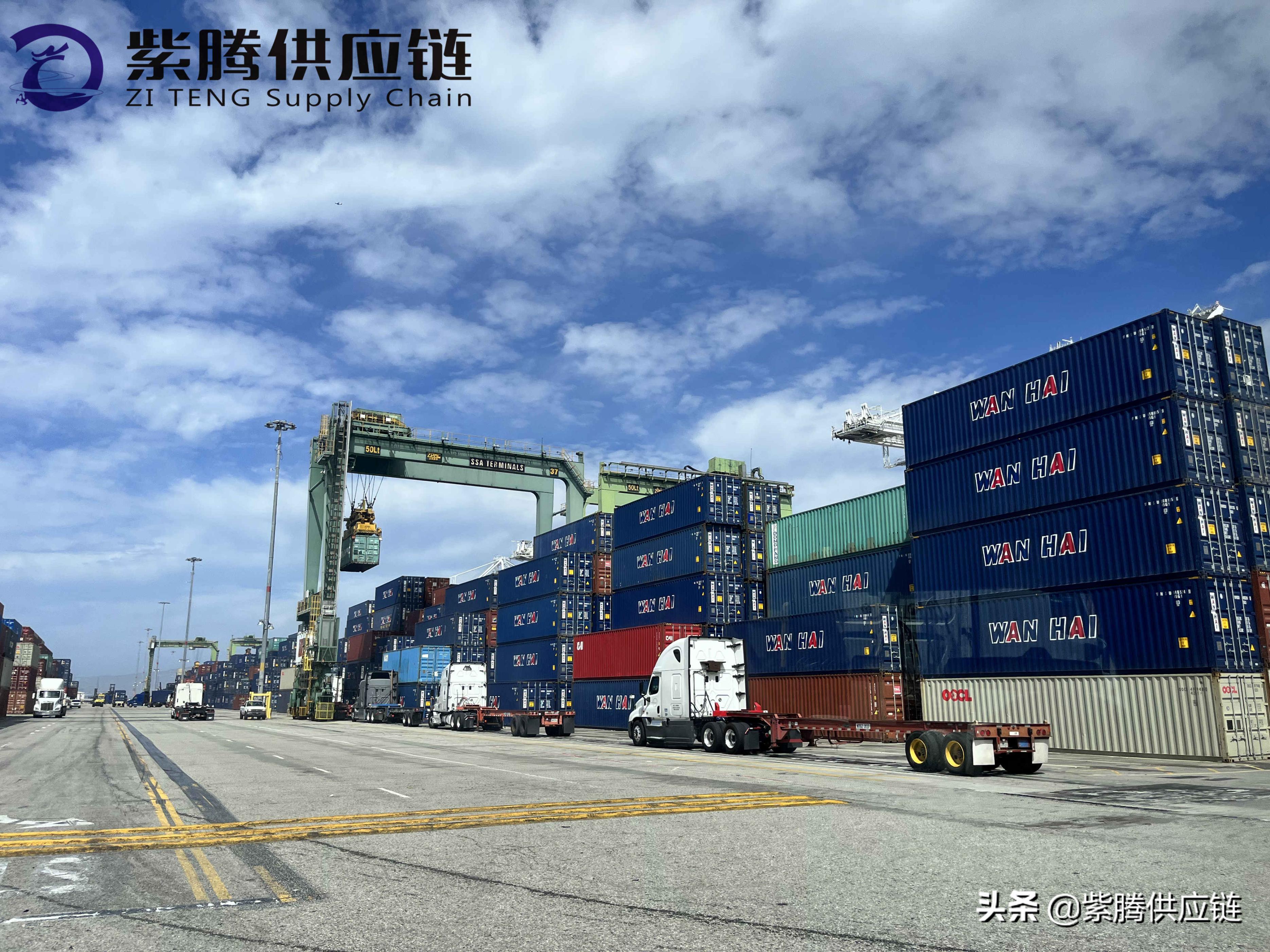 美国海运清关公司,美国海运清关流程视频讲解