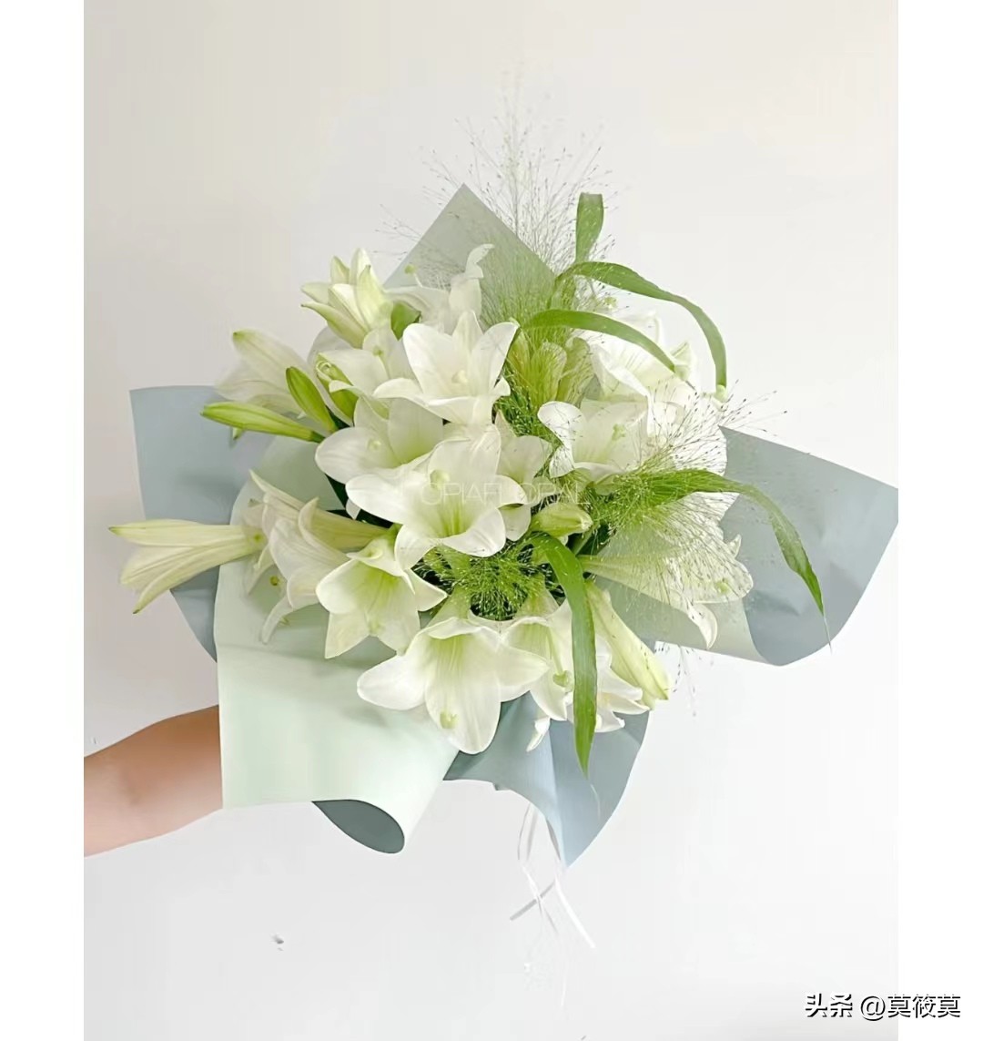 50种常见鲜花的花语大全,各种鲜花的花语和寓意图片欣赏