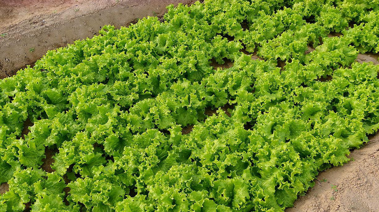 中老年人腿软无力是什么原因,中老年人腿软无力是怎么回事