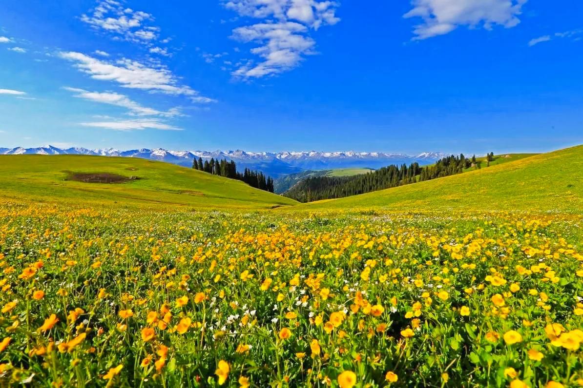 人生难得静心,人生难得清净心