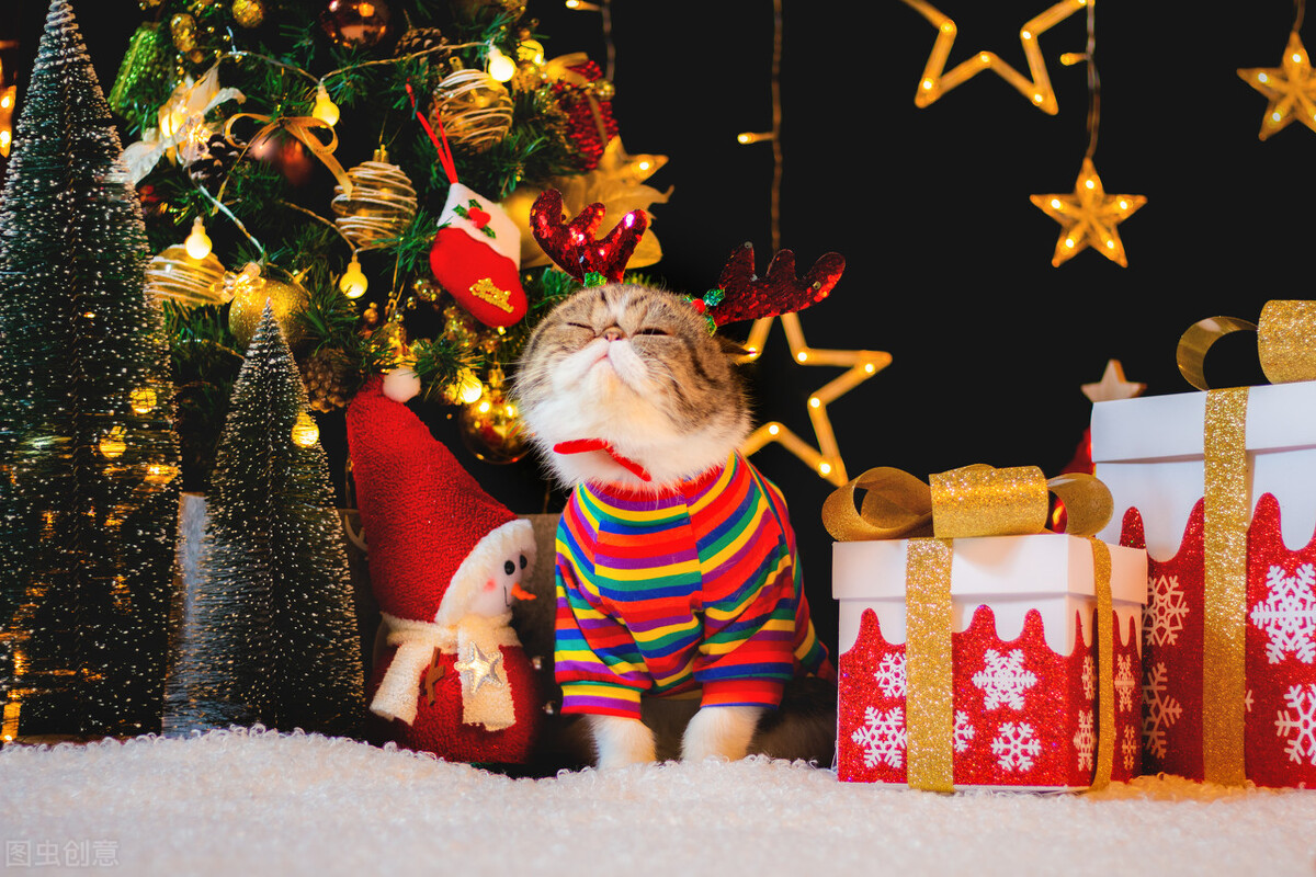 宠物赛道私域变现,宠物赛道私域线上怎么引流