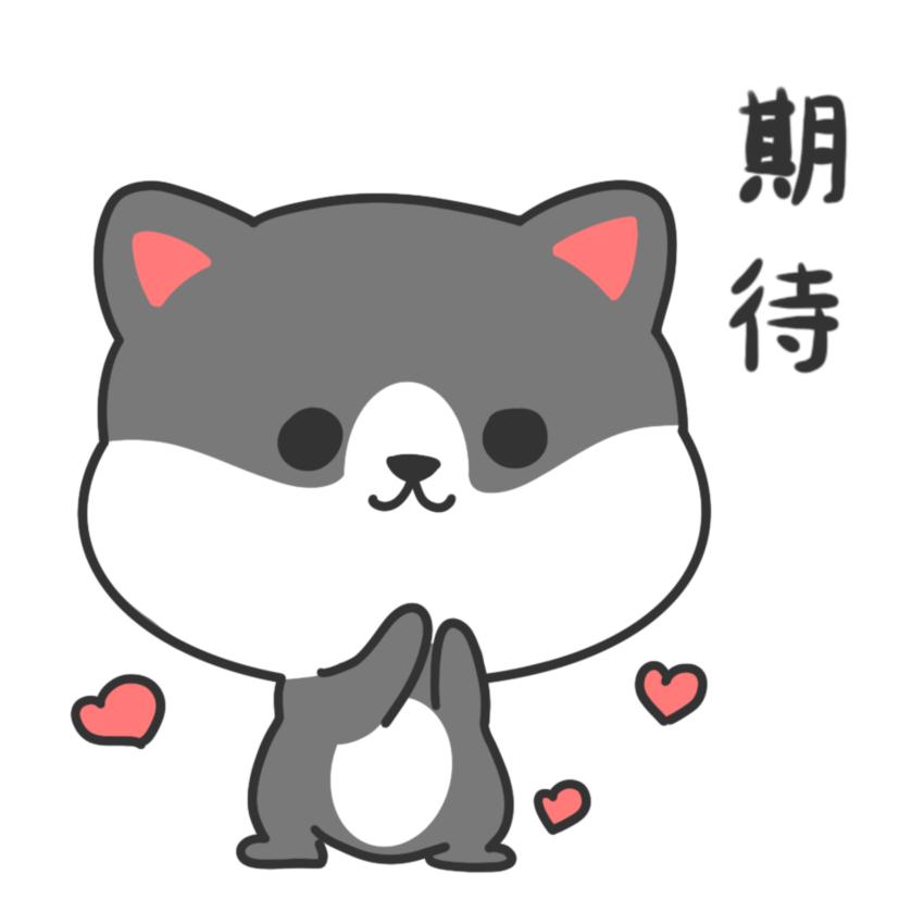 厦门白鹭体育场世界杯亚预赛,厦门白鹭亚洲杯足球场