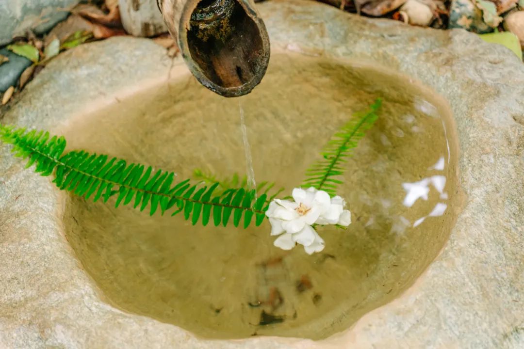 云南西部大峡谷泡温泉,云南原始森林温泉