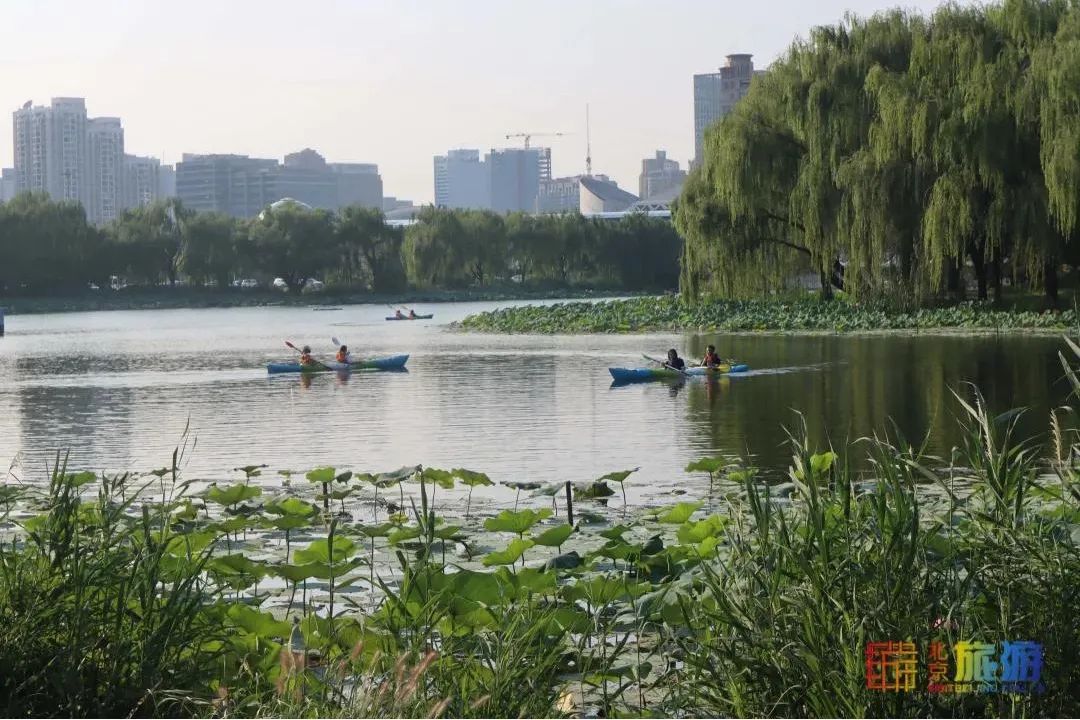 北京周末公园推荐,夏季北京公园好去处