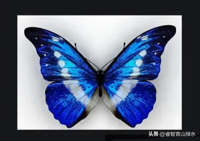 让我痴，让我醉，让我爱你没商量。