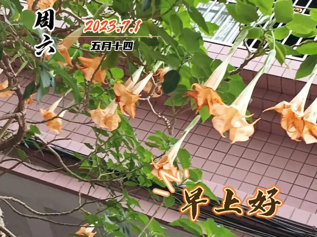 早安图片早上好问候祝福语,早上好图片带字早安问候语大全