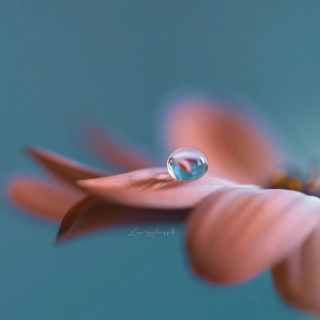 对知己的理解是什么,知己到底怎么理解