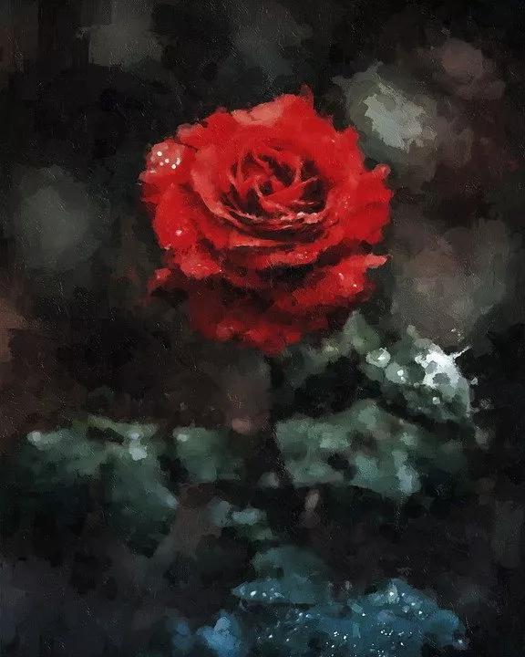 520适合发朋友圈的配图爱情,入目无别人四下皆是你英语