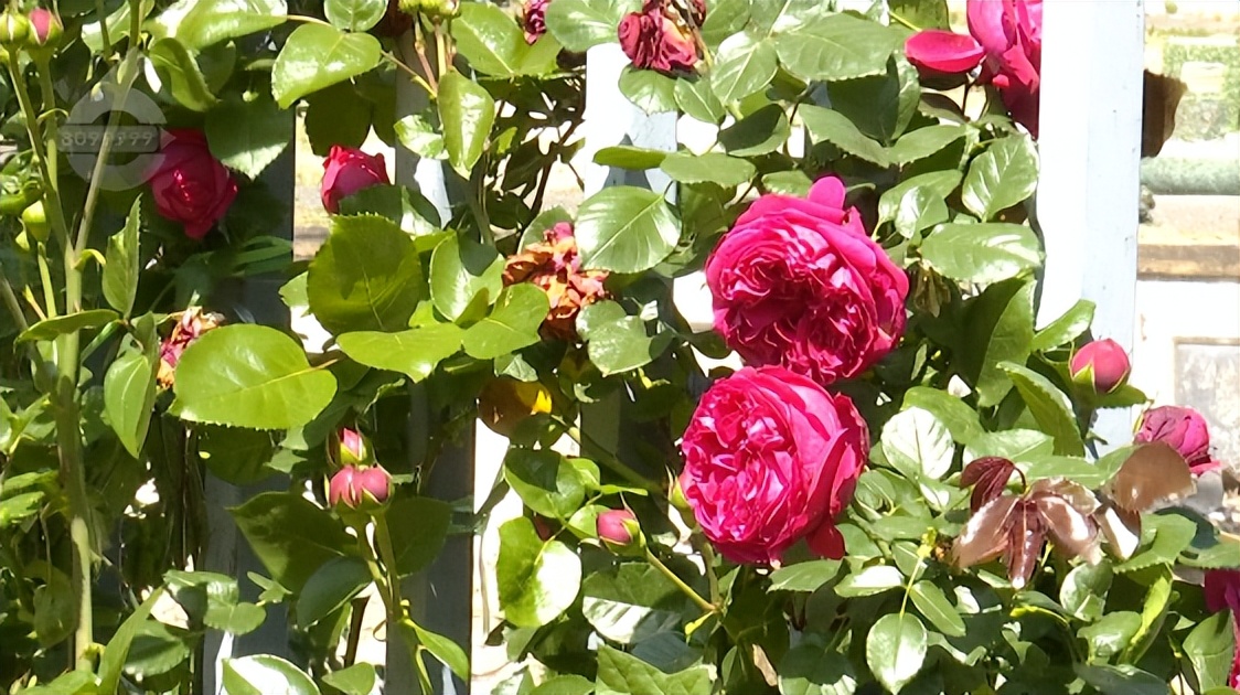 何必远游，昆明这些路上的美景就美呆