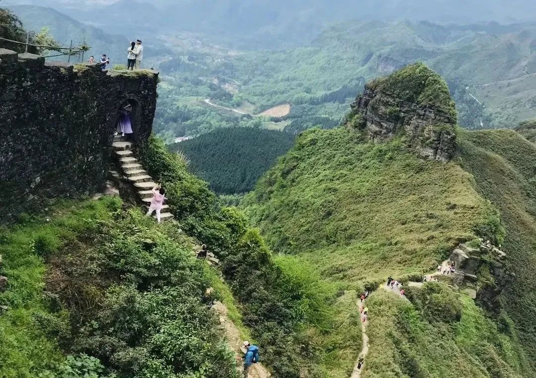 南川区金佛山旅游攻略,南川金佛山一日自驾游攻略