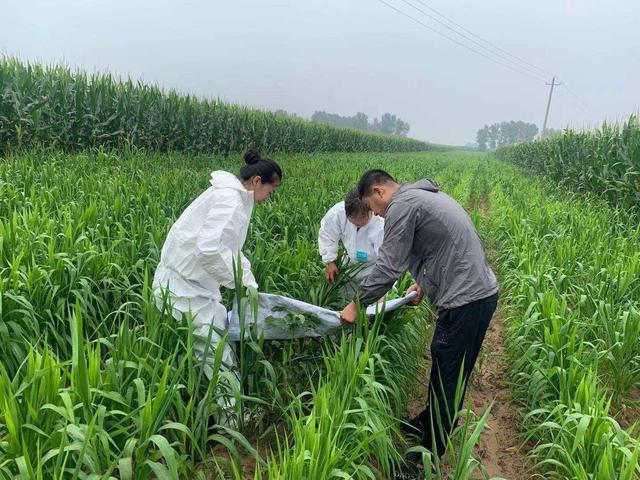 植保黑科技助力绿色农业,栽培技术植保技术决定农产品质量