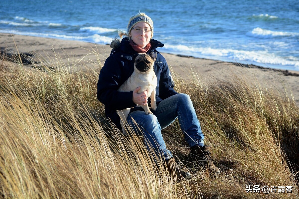 现在的瑞典现状,瑞典现状