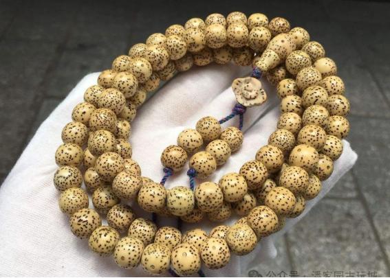 星月菩提黄金籽和顺白哪个好,星月菩提黄籽鉴别