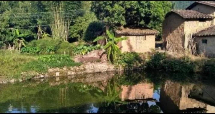 引水入庭院风水讲究,家败人丁散啥意思