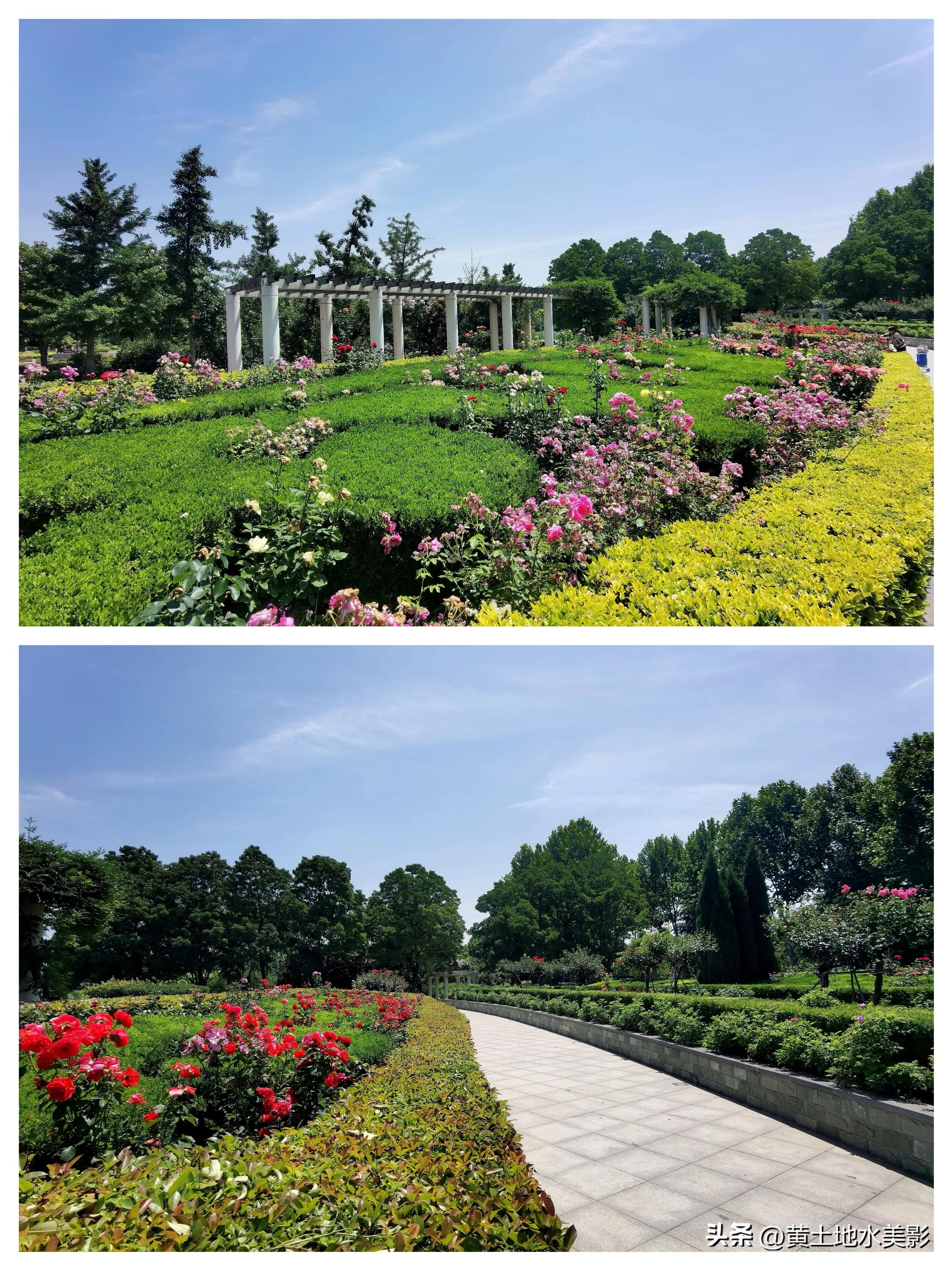 河南植物公园景点介绍视频,河南森林公园有哪些