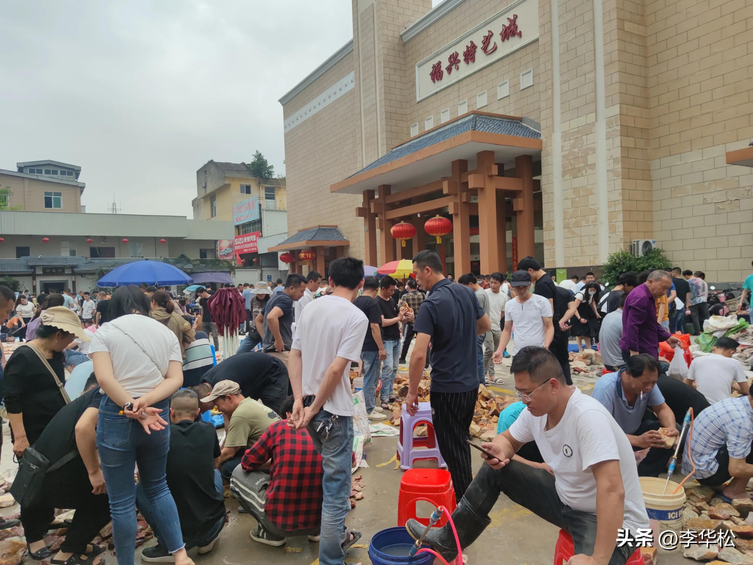 我去福州买石头喜遇纺织娘