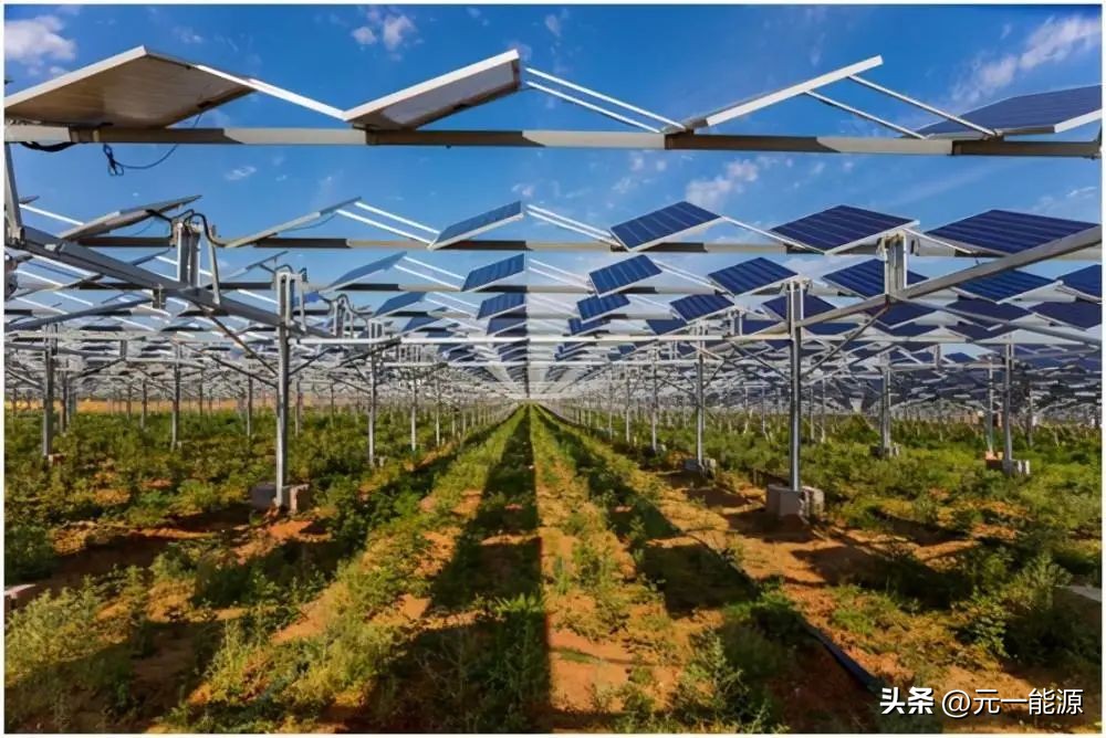 海洋污染对农村有什么不好,滩涂光伏对生态的影响