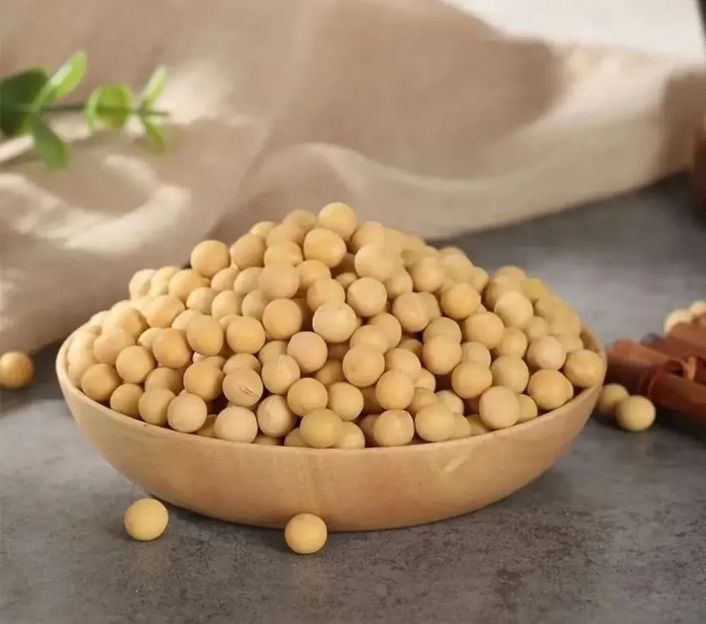 烟台蓬莱老字号,蓬莱几十年老店