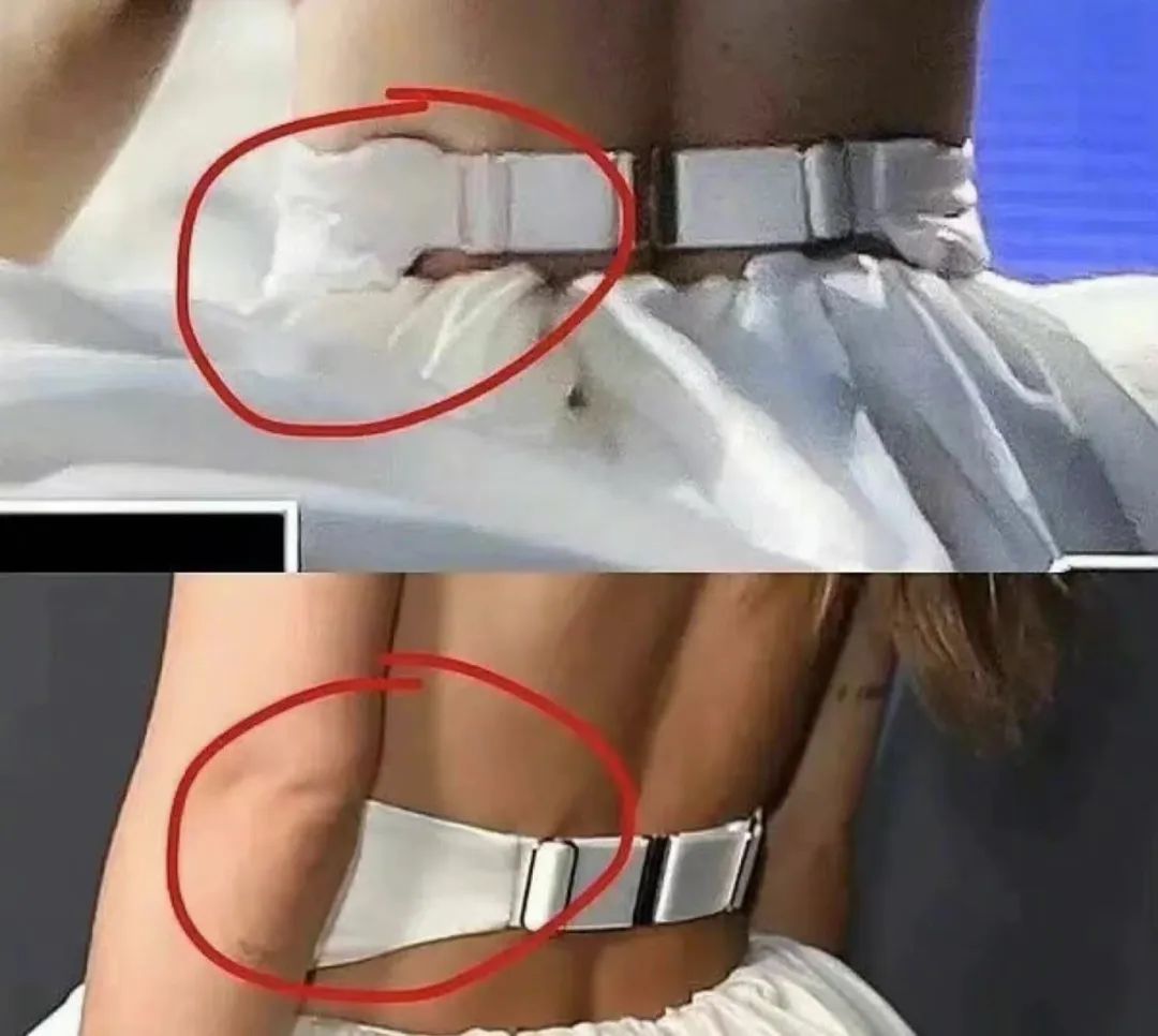 暗讽中国造假大国”，他们自己却穿得理直气壮