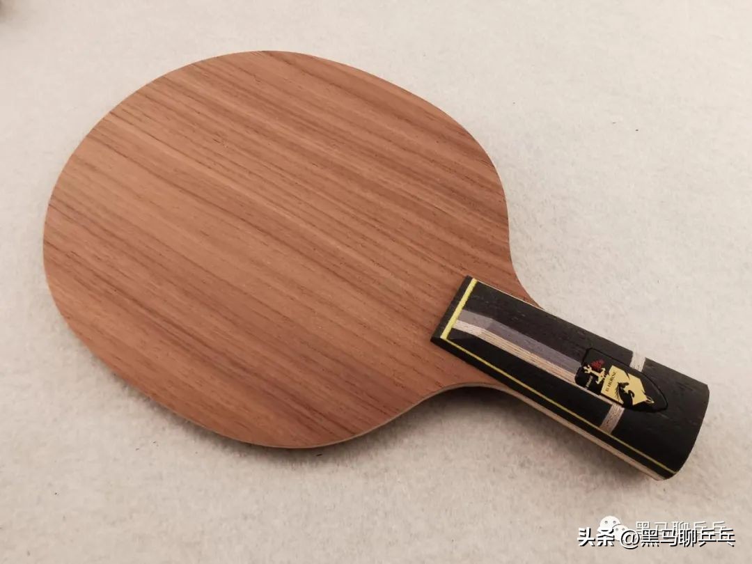 新手高端球板推荐,我们最喜欢的10款胶皮