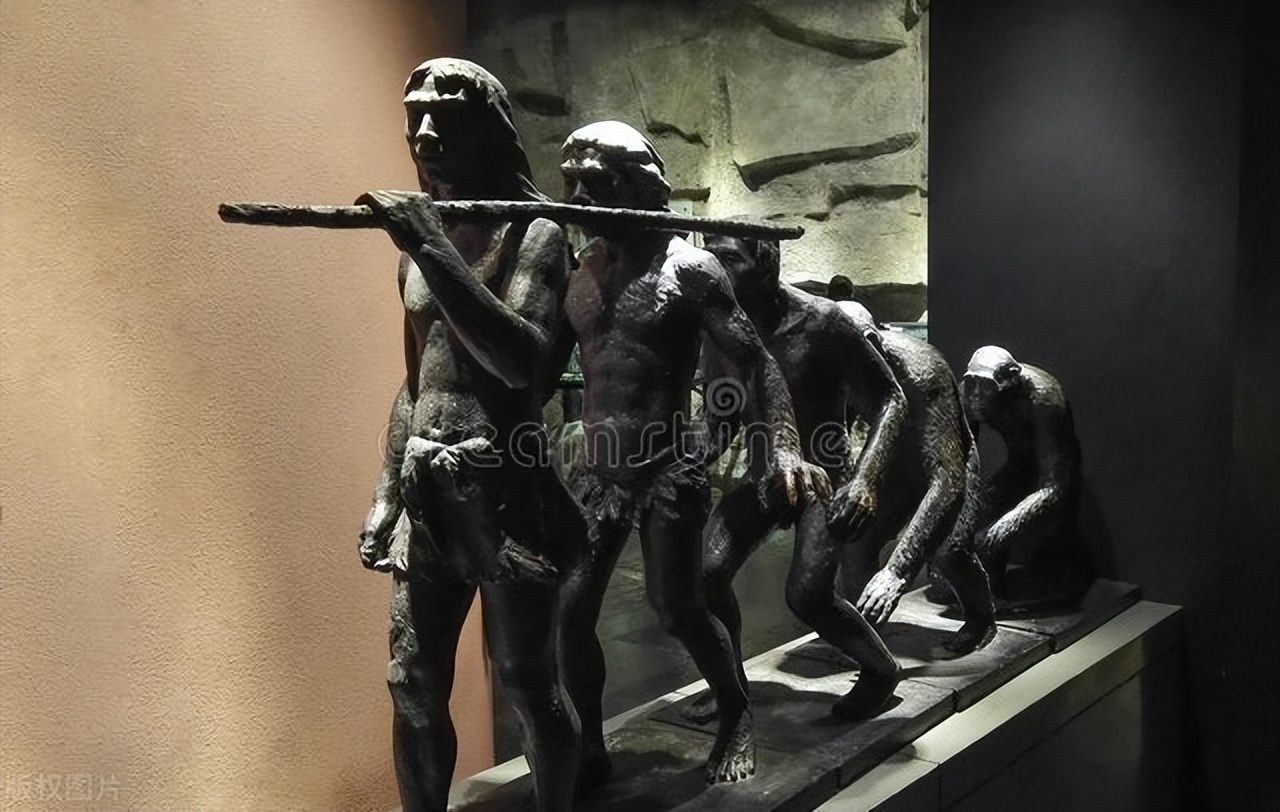 人类起源于类人猿还是古猿,人类起源之谜我们是怎么来的