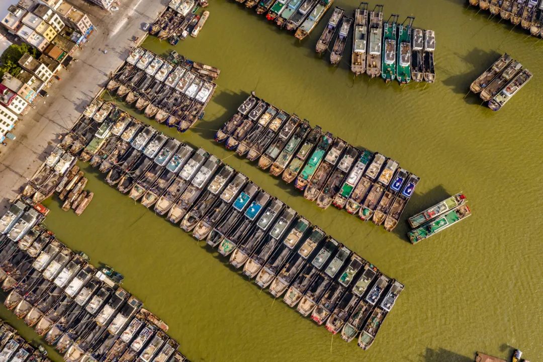 美食之都潮汕,广东茂名的特色美食水果