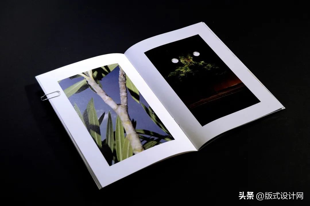 画册有哪些版式设计,画册版式设计有哪些种类