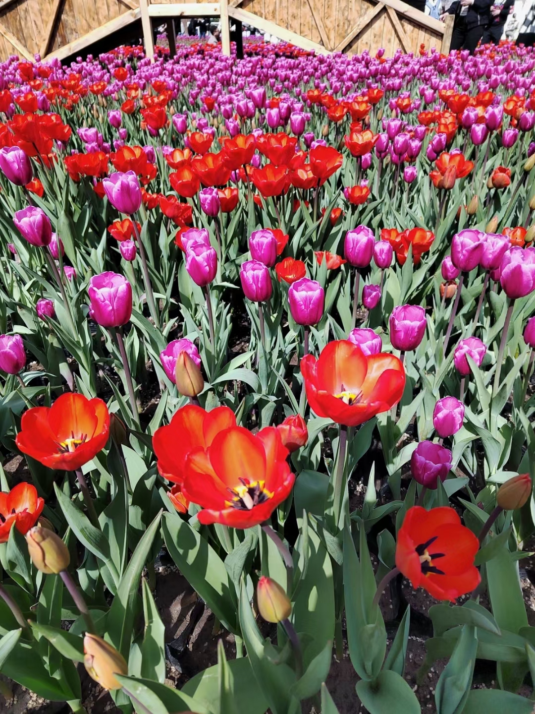 反诈电话提醒是真是假,电话智能反诈功能