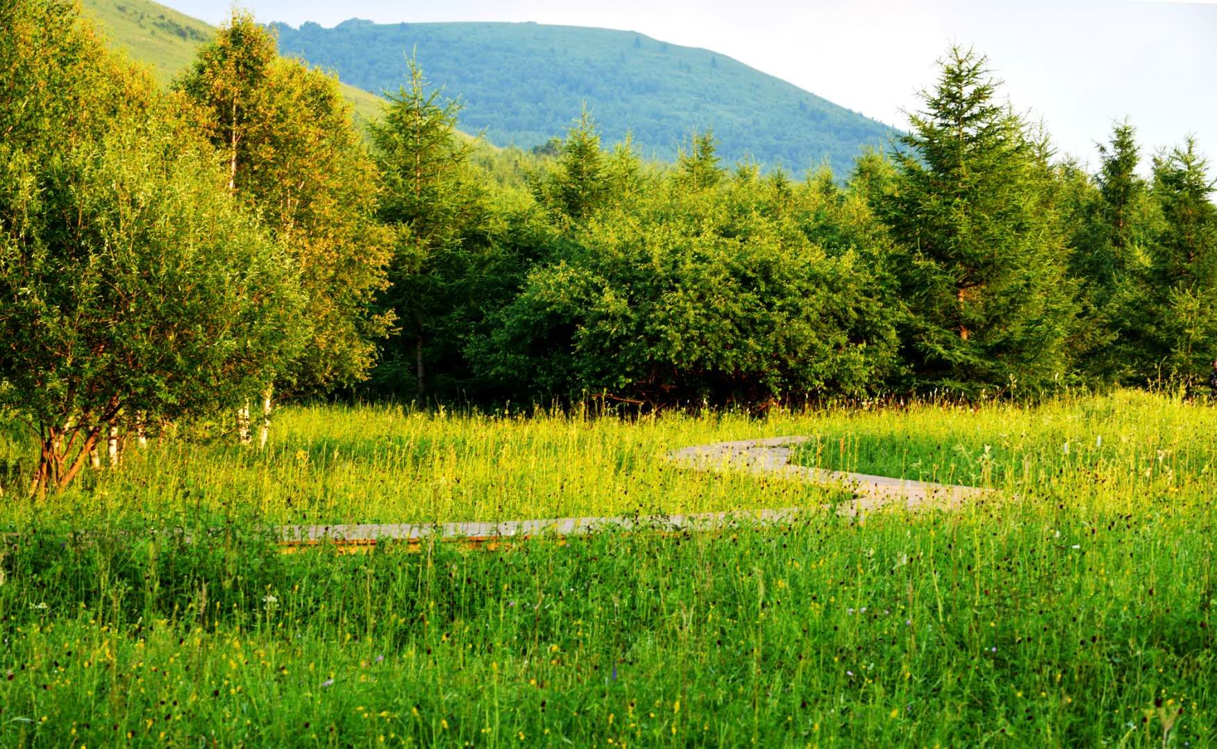 五一假期人从众出游,五一出游人从众何去何从