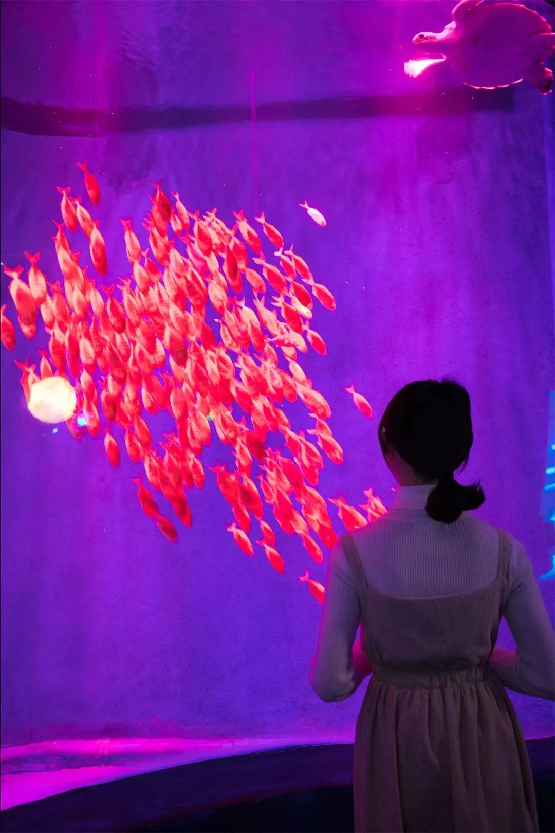 深圳10个小众打卡地免费游玩,深圳小众海边游玩攻略