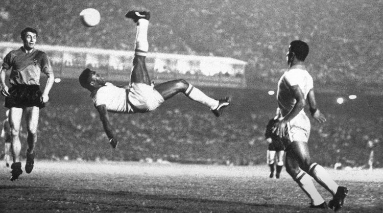 德国彪马体育用品,德国彪马最新款男鞋